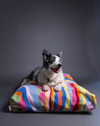 Bellows Abstract Organic Cotton Dog Bed - YaYa & Co.