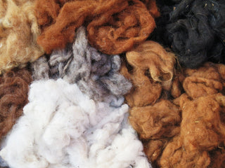 Organic Alpaca Duvet Insert with Organic Cotton Cover - YaYa & Co.