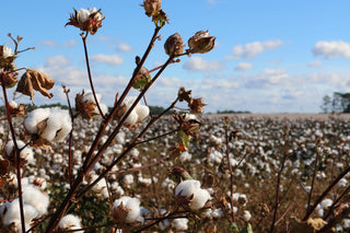 Recycled Cotton and its Benefits - YaYa & Co.