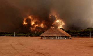 World's Largest Tropical Wetlands Burn in Brazil - YaYa & Co.