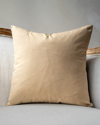 Alice Neutral Paisley Throw Pillow