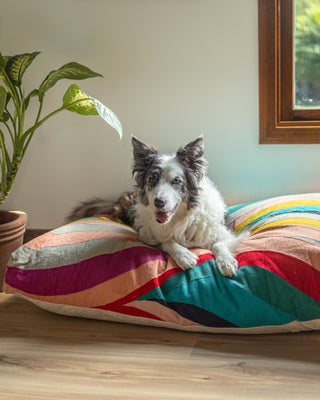 Cleo Organic Cotton Dog Bed