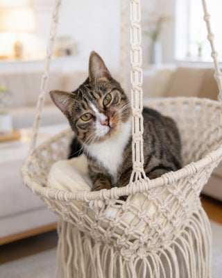 Louie Hanging Handmade Macrame Cat Bed $80 Today Only