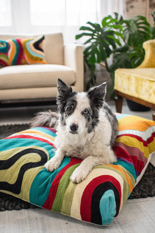 Dog Mats, Hug Rugs You & Your Dog Will Love