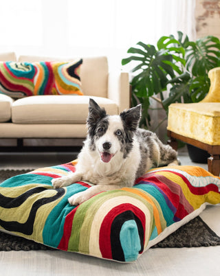 Echo Absract Organic Cotton Dog Bed - Coming Soon - YaYa & Co.