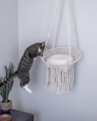 Louie Hanging Handmade Macrame Pet Bed - YaYa & Co.