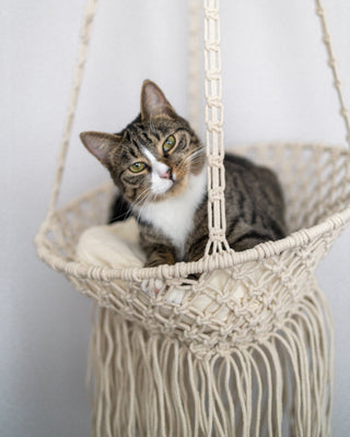 Louie Hanging Handmade Macrame Pet Bed - YaYa & Co.