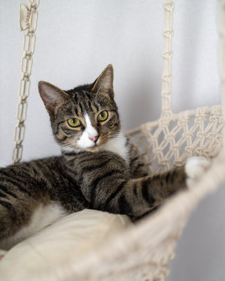 Louie Hanging Handmade Macrame Pet Bed - YaYa & Co.