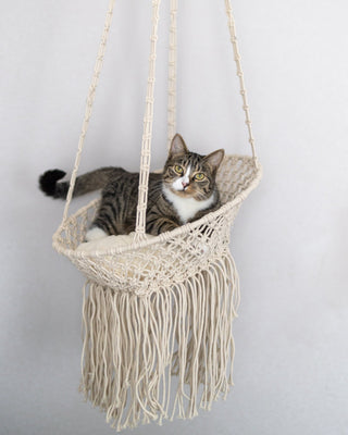 Louie Hanging Handmade Macrame Pet Bed - YaYa & Co.