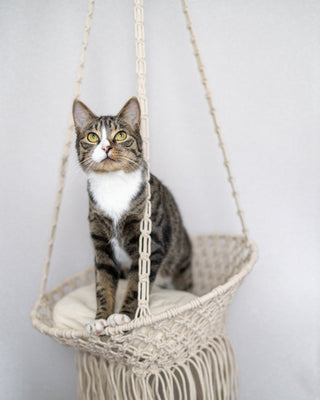 Louie Hanging Handmade Macrame Pet Bed - YaYa & Co.