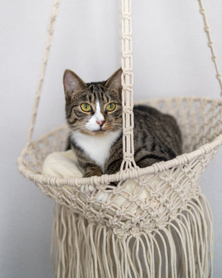 Louie Hanging Handmade Macrame Pet Bed - YaYa & Co.