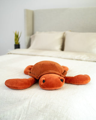 Organic Cotton Turtle Pillow - YaYa & Co.