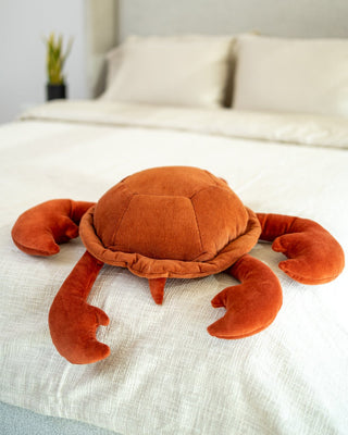 Organic Cotton Turtle Pillow - YaYa & Co.