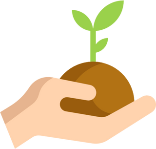 Plant A Tree In The Amazon - YaYa & Co.