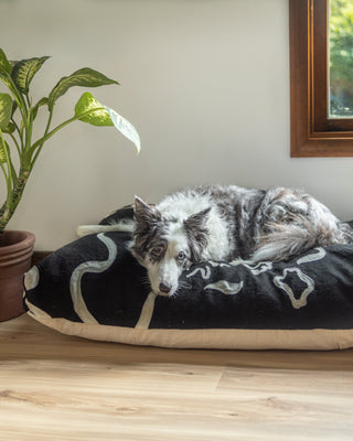 Scout Organic Cotton Dog Bed - YaYa & Co.